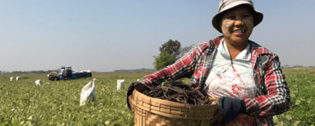 Evers Specials bevordert het welzijn van boeren in Myanmar